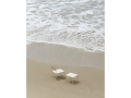 Balcony Lounge Chair chalk beige_Balcony Low Table L50xW51,5xH38,5 chalk beige.jpg