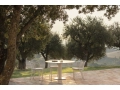 Branta dining tables_.jpg03.jpg