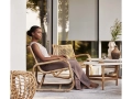 Curve_lounge_chair_10273_e8a461ca-8b60-4a0b-b446-7077596e0ead.jpg