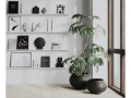japandi - bookcase - livingroom - Urchin 3.jpg