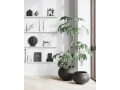 japandi - bookcase - livingroom - Urchin.jpg