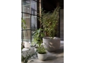ATD_2021_Retail_Collect Planter SC43, SC71, SC72_Lucca SC51.jpg