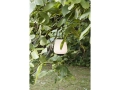 ATD_Retail_2021_Lucca SC51 Black.jpg
