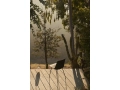 ATD_Retail_2023_Rely HW70_Lucca SC51.jpg