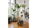 3981142_Eames Elephant PLywood grey_v_fullbleed_1440x.jpg