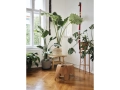 4059707_Eames Elephant Plywood_v_fullbleed_1440x.jpg