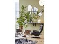 2508969_Christmas 2018_vitra_Xmas_004_v_fullbleed_1440x.jpg