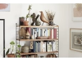 Eames House Bird