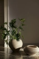 fermLIVING_SS23_DoduPot_1104267526_1104267527_image_2.jpg