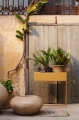fermLIVING_SS23_PlantBox_DoduPot_1104267245_1104267526_image_1.jpg