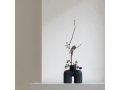 Cobra Uno Mini - Black - Ikebana.jpg