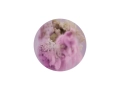 POLLINATION-OF-HORTENSIA-CARPET-SPRING-CIRCULAR250cm-300Dpi.jpg