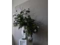 SPHERE VASE SQUARE BIG - BONE WHITE - WINTHER EDITION - 1.jpg