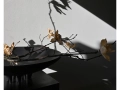 221063 - Medusa Tray big - Coffee - Studio - 5.jpg