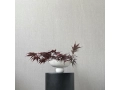 Baburu Bowl Mini - Bone White.jpg