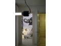 49_FATBOY_Original-Slim-Teddy-Off-White_Mood_A-Pop-of-Colour.jpg