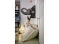 51_FATBOY_Original-Slim-Teddy-Off-White_Mood_A-Pop-of-Colour.jpg