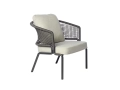 CTR Club chair wenge wenge_cushion.jpg