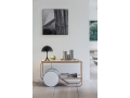 Dinesen-10-74750.jpg