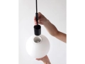 TR_Bulb_-_bulb_12c389bf-6f1b-4dd2-877f-49fb637bee12.jpg.jpg