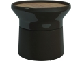 Coso Coffee Table - Earth.jpg