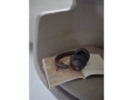 moai-softline-13.jpg