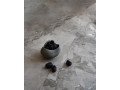 Curve Bowl mini Dark Grey - Studio 1.jpg
