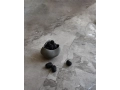 Curve Bowl mini Dark Grey - Studio 1.jpg