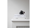 Curve Bowl mini Dark Grey - Studio 3.jpg