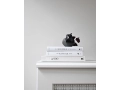 Curve Bowl mini Dark Grey - Studio 3.jpg