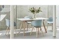 AAC 22 dusty blue 2.0 shell wb lacquer oak_CPH 30 Extendable off white lino wb lacquer oak frame_Tint Tumbler green.jpg