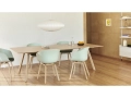 AAC 22 dusty mint 2.0 shell wb lacquer oak frame_CPH 30 L250xW120 wb lacquer oak top wb lacquer oak base.jpg