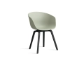 AA205-D150-AA51_AAC 22 pastel green 2.0 shell_black wb lacquered oak base.jpg