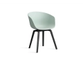 AA205-D141-AA51_AAC 22 dusty mint 2.0 shell_black wb lacquered oak base.jpg