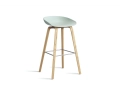 AA006-D141-AA51_AAS 32 H75 dusty mint 2.0 shell_wb laquered oak base_stainless steel footrest.jpg