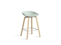AA003-D141-AA51_AAS 32 H65 dusty mint 2.0 shell_wb laquered oak base_stainless steel footrest.jpg