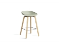 AA003-D150-AA51_AAS 32 H65 pastel green 2.0 shell_wb laquered oak base_stainless steel footrest.jpg