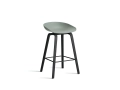 AA007-D144-AA51_AAS 32 H65 fall green 2.0 shell_black wb laquered oak base_black steel footrest.jpg