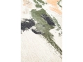 9393_INDIAN_RICE_DETAIL_01_WEB.jpg