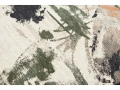 9393_INDIAN_RICE_DETAIL_02_WEB.jpg