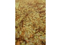 9320_GREEN-MEADOWS_DETAIL_01__WEB.jpg
