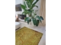 9320_GREEN-MEADOWS_ROOMSHOT02__WEB.jpg