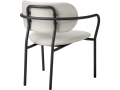 10091903_B3Q_Coco_Lounge Chair_FullyUpholstered_Eero Special FR, Dedar (106).jpg
