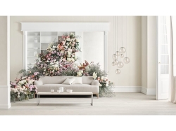 Caro Sofa Series - sofa