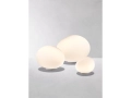 Gregg_table_.jpg03.jpg