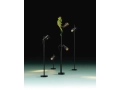 marset-lr-palosanto-chameleon-960x1200.jpg