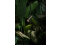 marset-lr-palosanto-plants2-801x1200.jpg