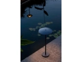 marset_lr_ginger-b-20-44_black-with-water-lilies-800x1200.jpg