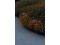 marset_lr_ginger-b-44-ip65-grey-graphite-with-yellow-flowers-2-800x1200.jpg