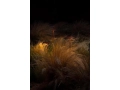 marset_lr_ginger-b-ip65-sizes-rust-2-800x1200.jpg